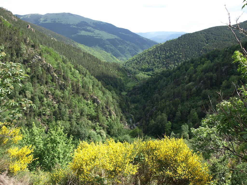 Hotel La Farga Ripoll Zewnętrze zdjęcie